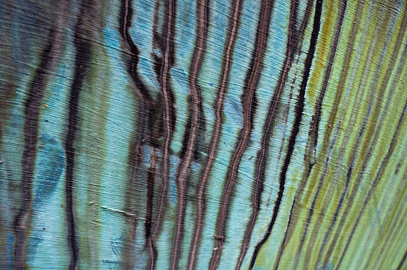 Big Bottoms Project