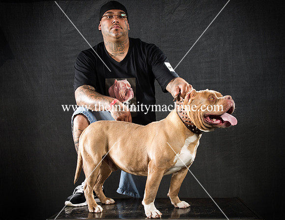 Bullys-039