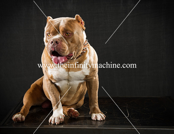 Bullys-045