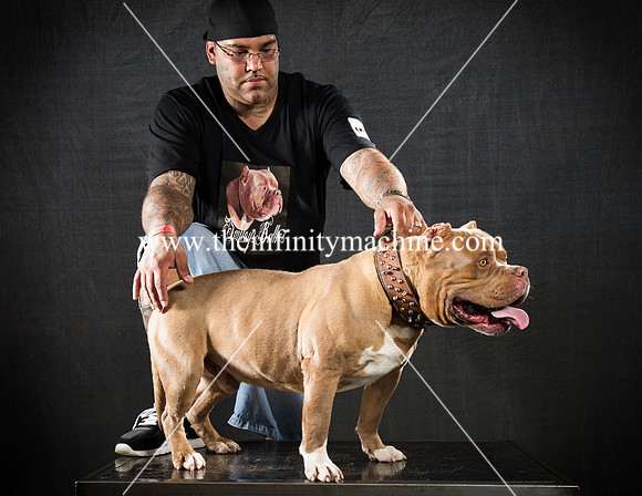 Bullys-036