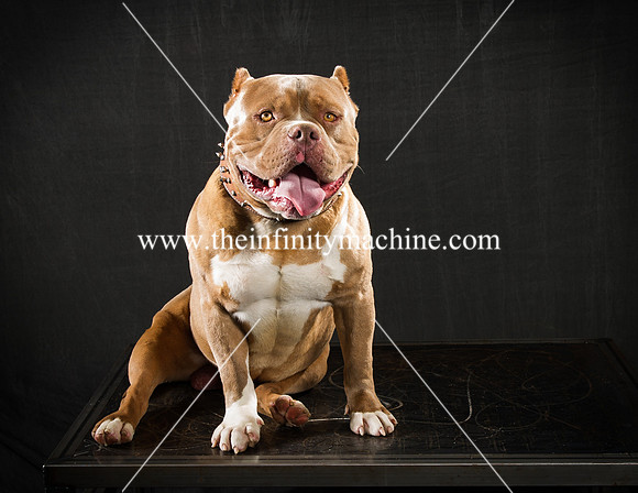 Bullys-044