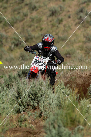 _MG_0884